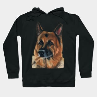 I will protect you! Hoodie